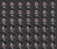Agent 327 facials v2 video