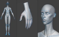 Mikassa Retopology - WIP 1