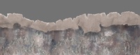 Ripped edges - stumps
