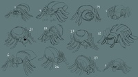spiders_designs_selection.jpg