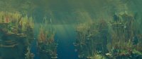 Set Dressing Reef