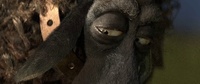 Franck's eyes, low-res video render