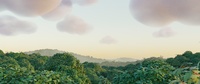 Forest Ending - Render Test