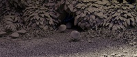 Mushroom Grove - Bush Wall