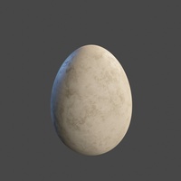 Egg - Shading