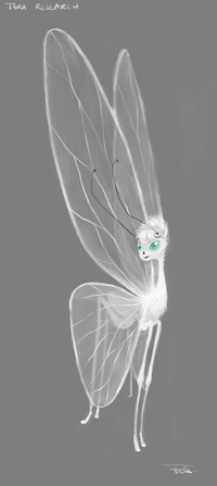 Tara experiment