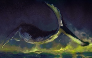 Whale - Early Exploration