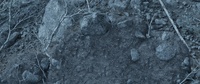 06_090_A - Render Test #01