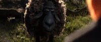 Cosmos Laundromat trailer 15/05/2015