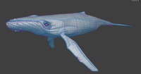 Whale Design - Retopology