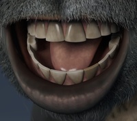 Franck: mouth improvements