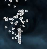 Comparison: tornado 1, point cache