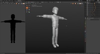 Crowd Variations 1