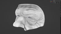 Brow Deformation Test #2