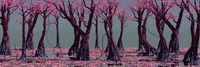 Forest test 4