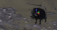 Manipulator widgets