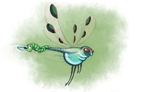Matias's dragonfly