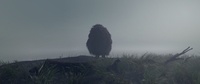 Franck on the cliff