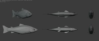 Atlantic Salmon Model Sheet Topology